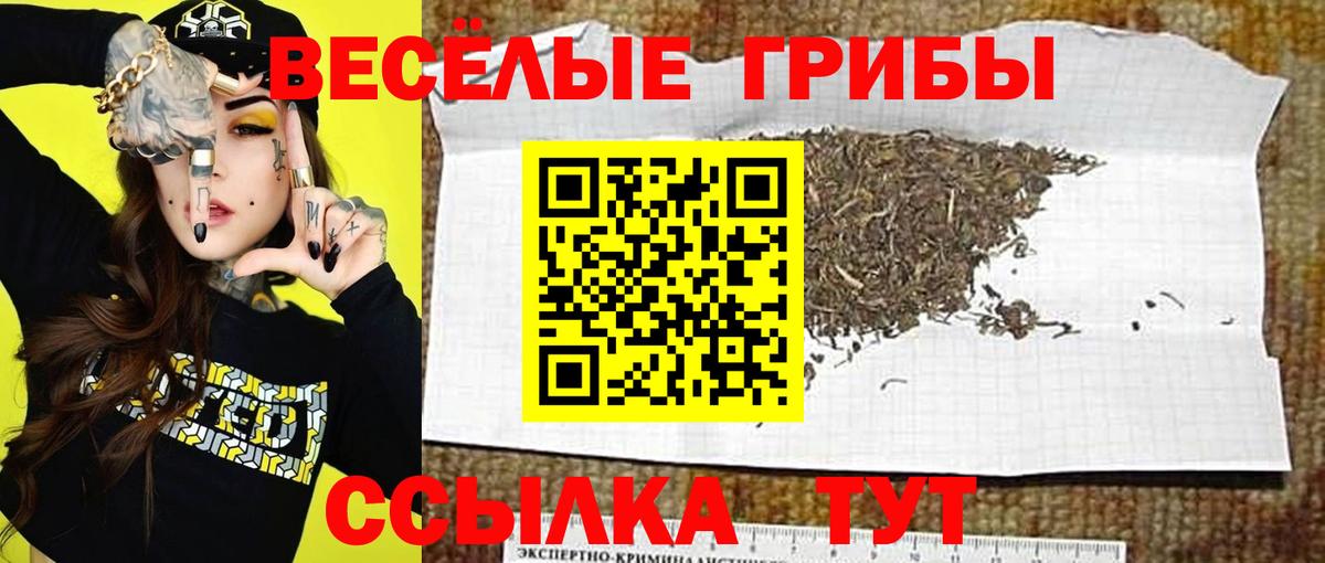 Псилоцибиновые грибы MAGIC MUSHROOMS Фурманов