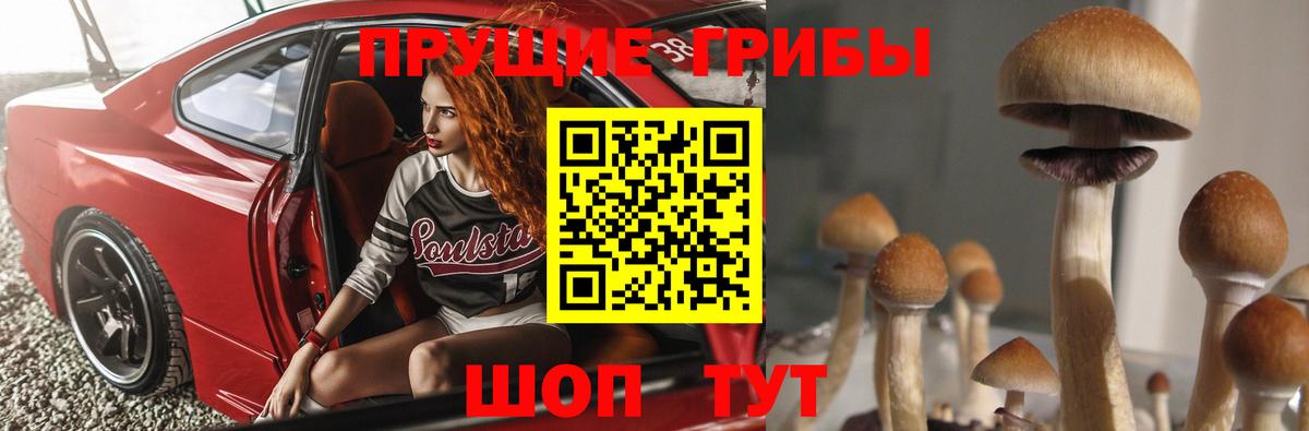 Фурманов  Псилоцибиновые грибы GOLDEN TEACHER  Вход с VPN 