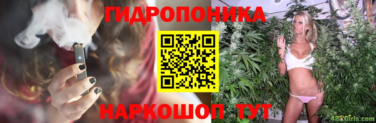МАРИХУАНА конопля  Шишки марихуана планчик  Конопля планчик  Фурманов  Вход с VPN  Марихуана LSD WEED 